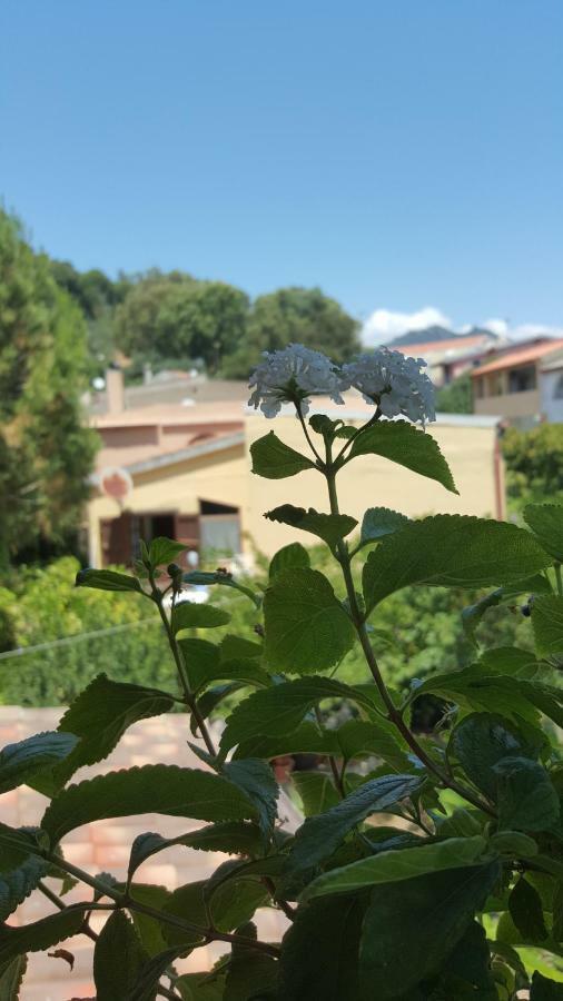 לינה וארוחת בוקר דומוס דה מריה Il Girasole מראה חיצוני תמונה
